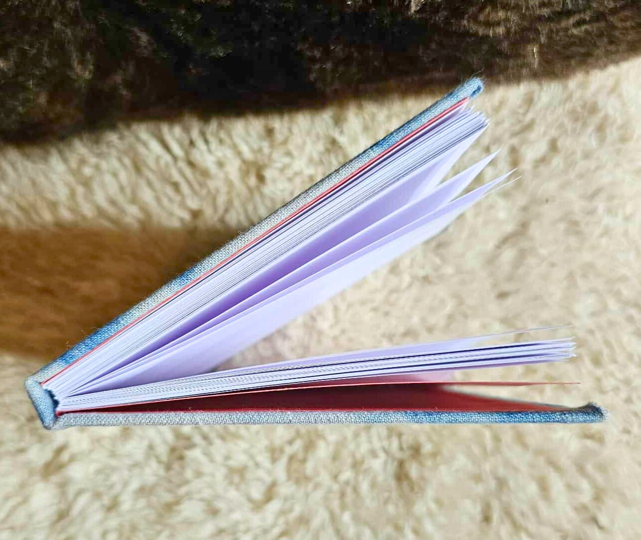 Sky Witch Notebook