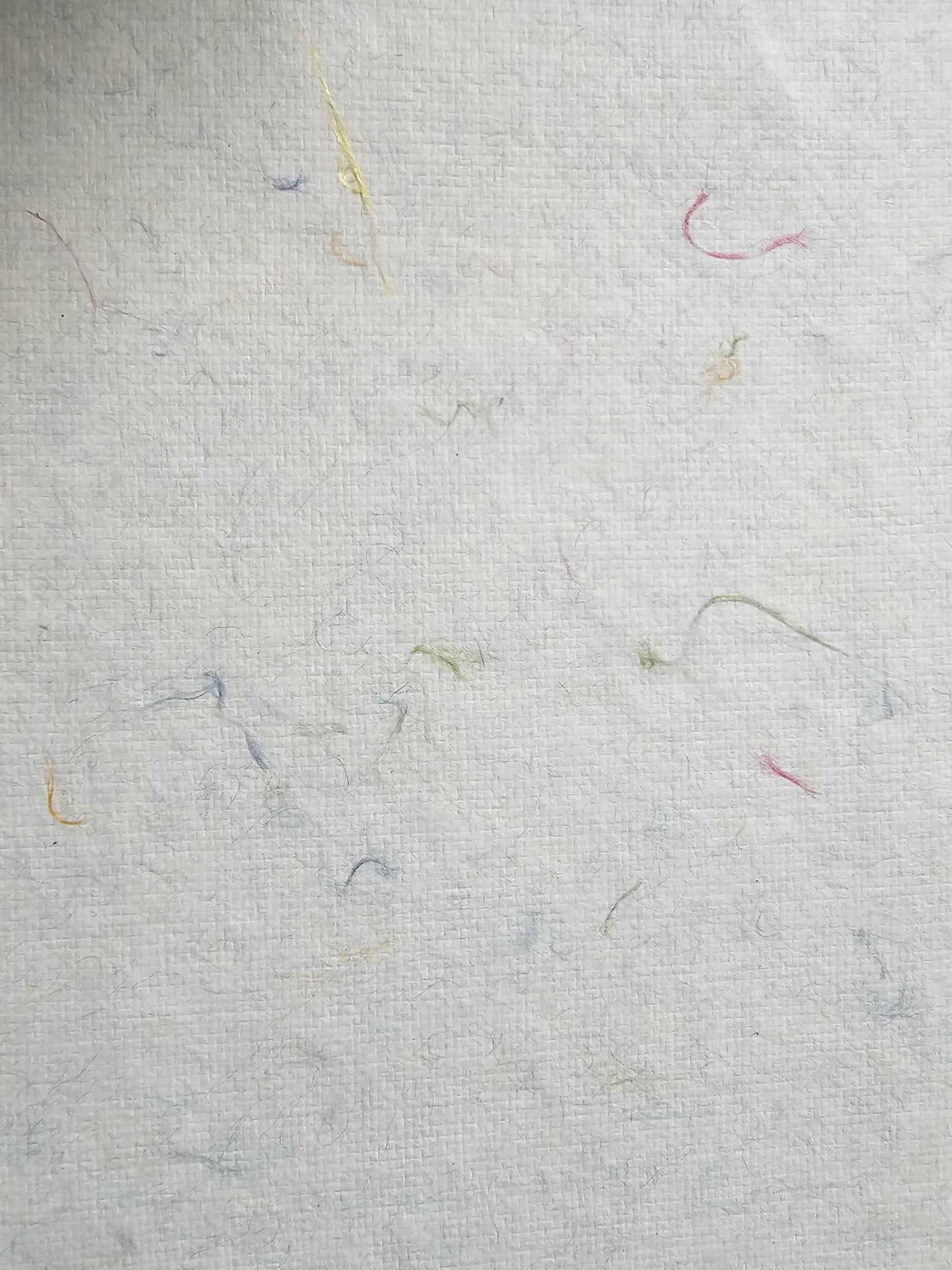 Horse and Home Notebook