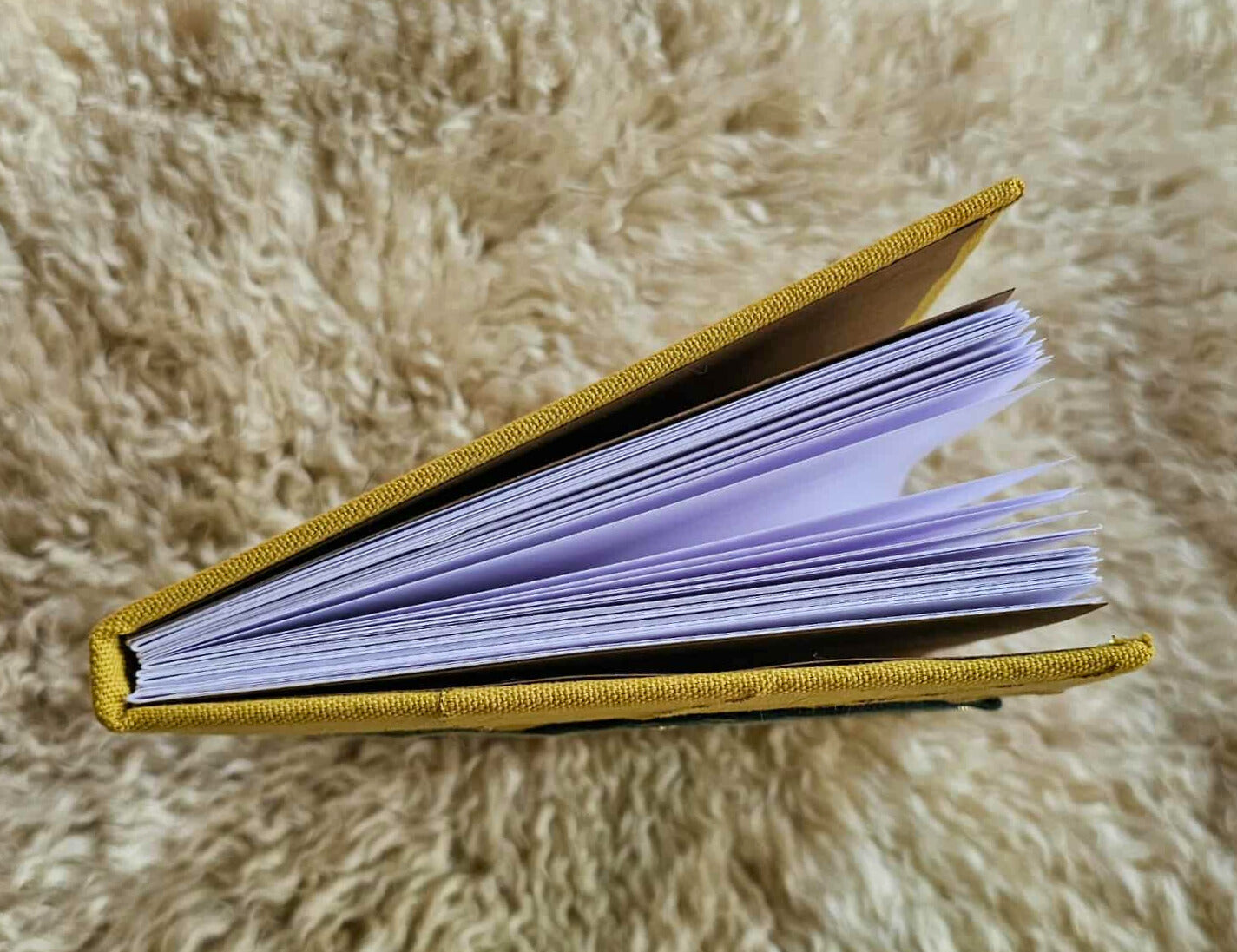 Splotchy Beam Notebook