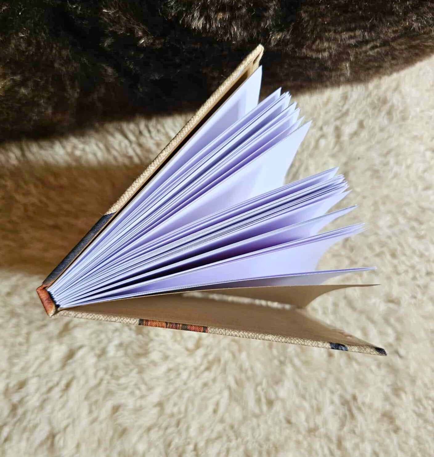 Doggie Daycare Notebook